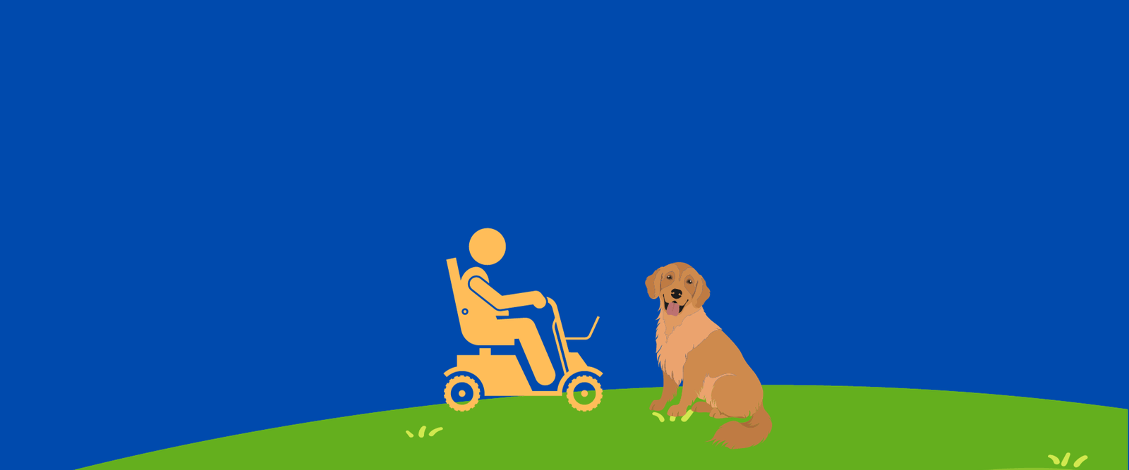 best mobility scooter for walking a dog